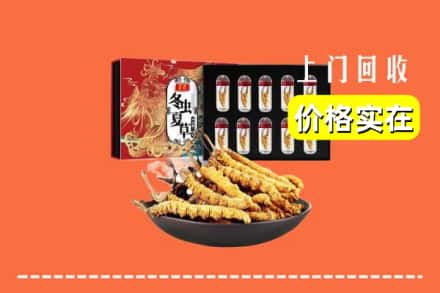 通化集安市回收冬虫夏草