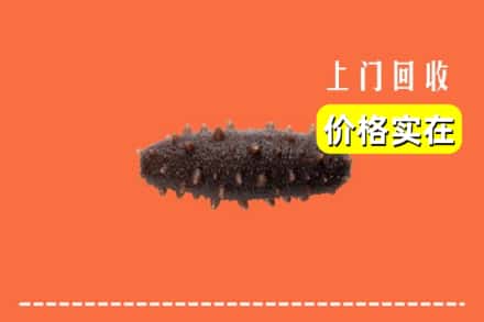 通化集安市回收海参